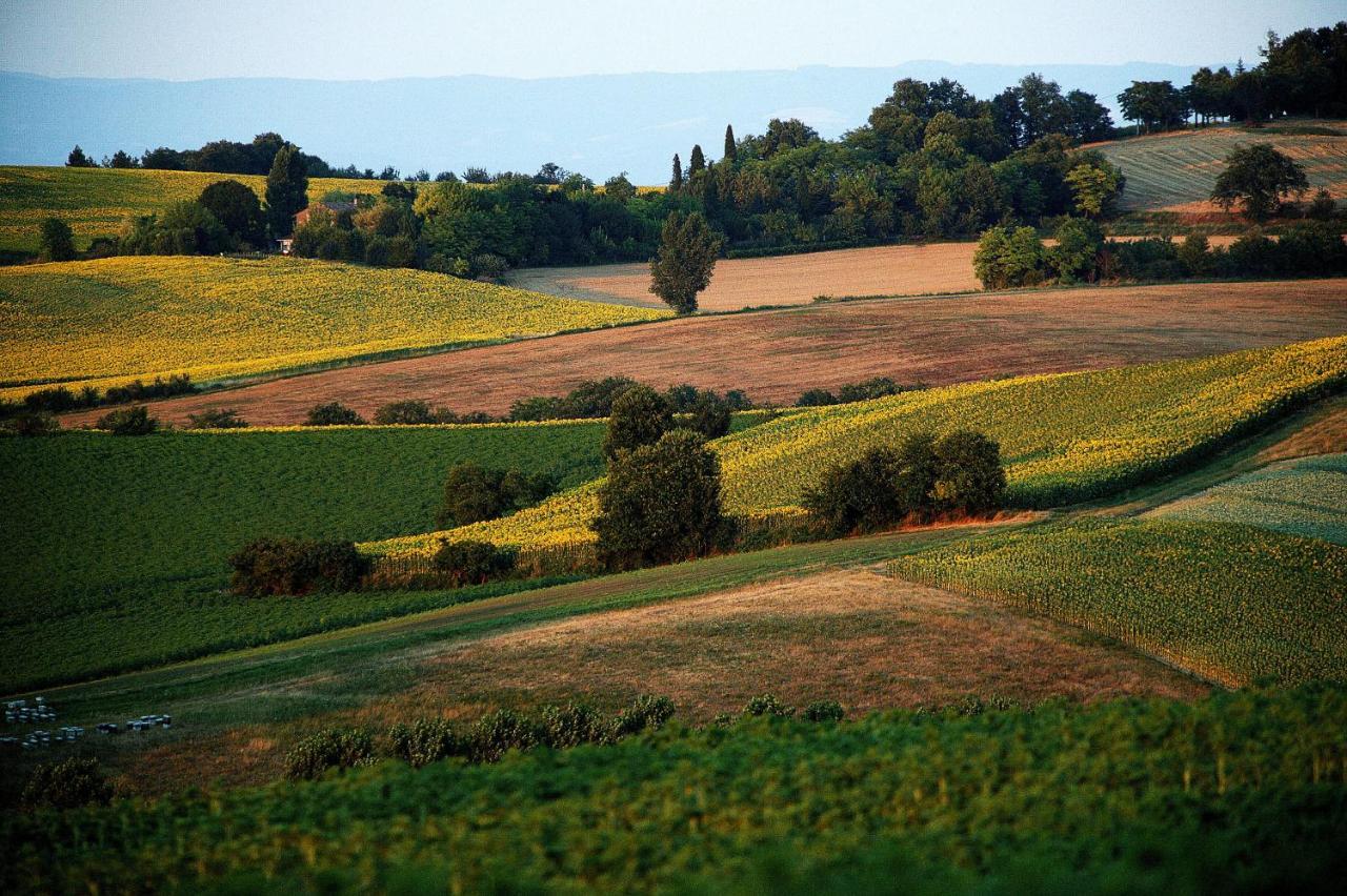 Auberge Du Poids Public Logis Hotel Saint-Félix-Lauragais Εξωτερικό φωτογραφία